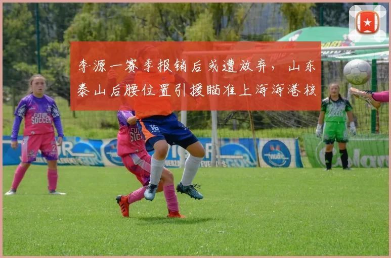 李源一赛季报销后或遭放弃,山东泰山后腰位置引援瞄准上海海港核心